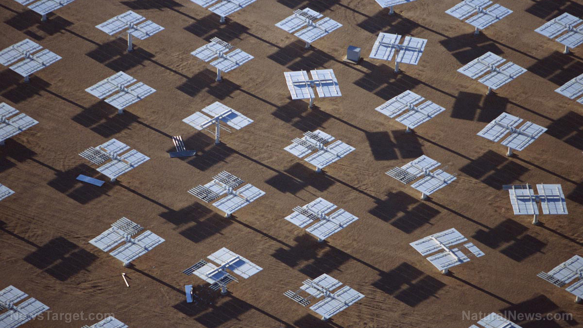 Image: Solar panels much more wasteful and toxic than widely believed, warns environmental policy expert