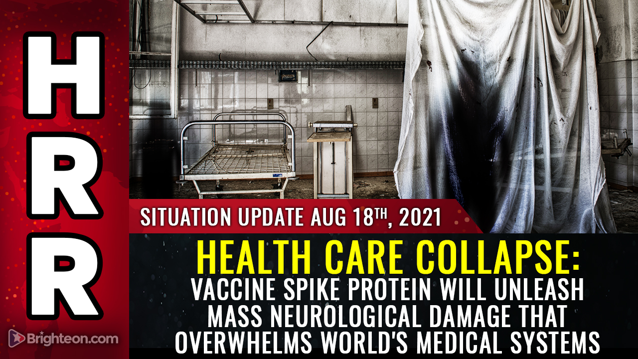 Image: HEALTH CARE COLLAPSE warning: Vaccine spike protein will unleash widespread neurological damage that overwhelms world’s medical systems