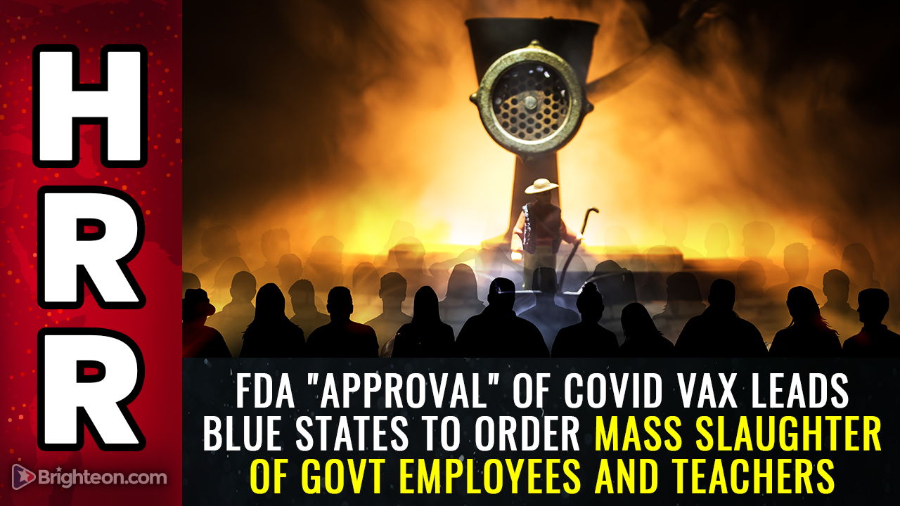 Image: FDA vaccine “approval” leads blue states to order the mass slaughter of teachers, workers and first responders