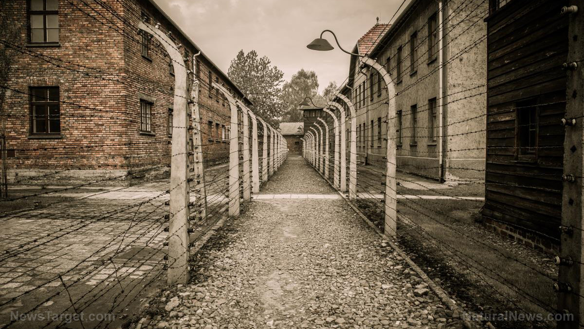 Image: Holocaust survivor warns COVID-19 measures similar to Nazi Germany’s subjugation policies