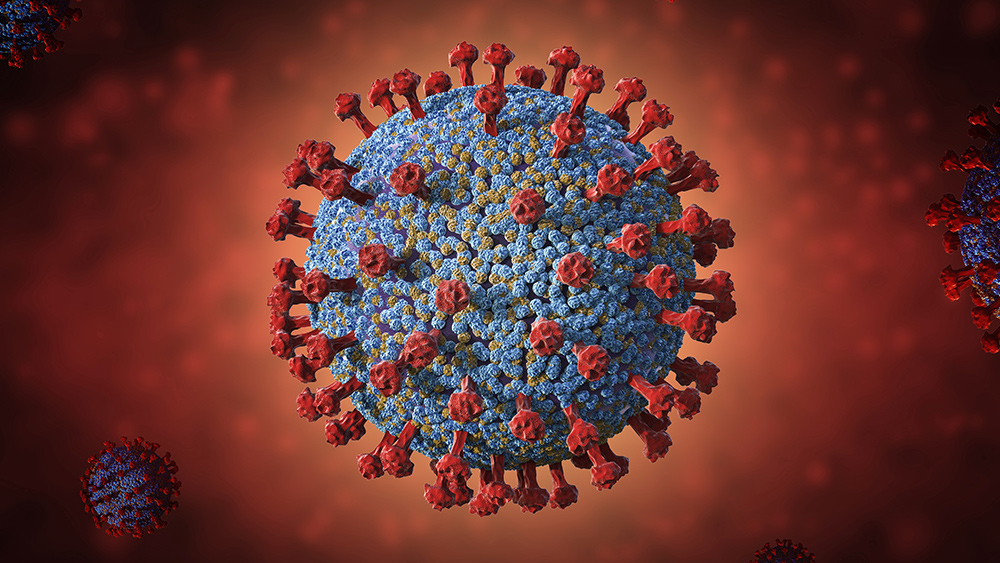 Image: Report: Wuhan lab requested funding from DARPA to make chimeric viruses, genetically alter coronaviruses to make them more infectious to humans