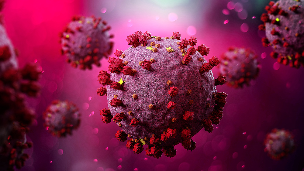 Image: Engineered mainstream consensus regarding coronavirus origins COLLAPSES