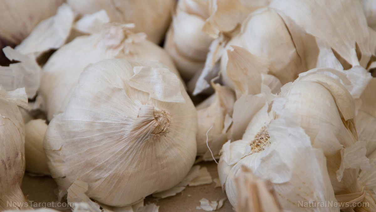 Image: Low temperature-aged garlic associated with anti-fatigue effects in animal study