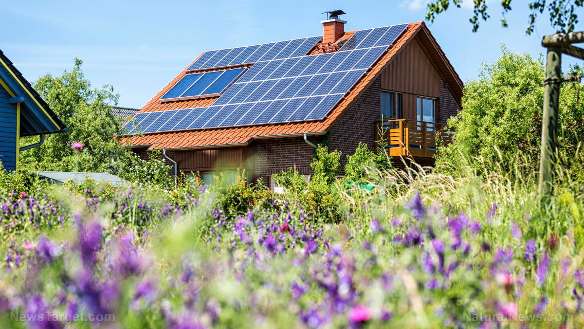 Image: Homestead must-haves: The best solar batteries for off-grid use