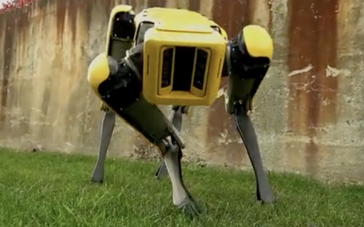 Image: Robot dogs are now being equipped with assault rifles for military use