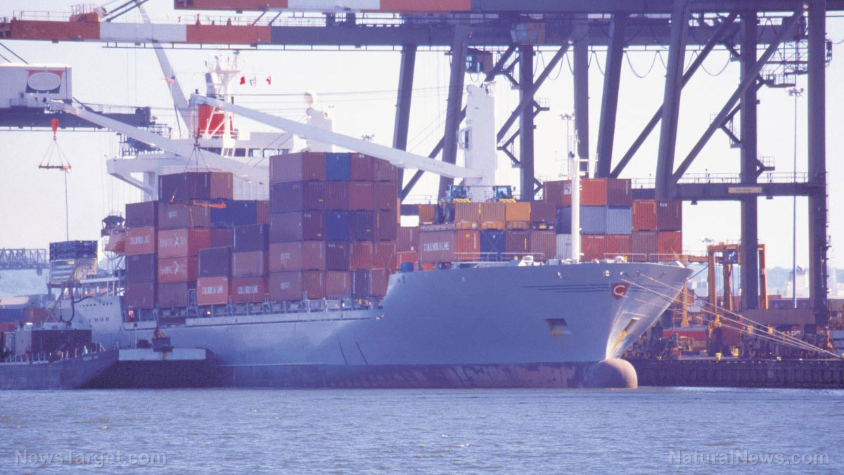 Image: Shipping companies at LA and Long Beach ports will be fined if containers stay in marine terminals too long
