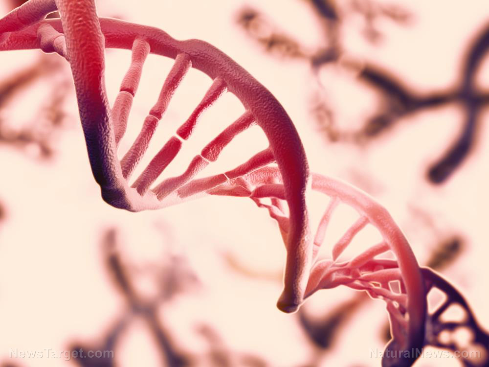 Image: Medical schools embrace genetic denialism, claim race has “no genetic or scientific basis”