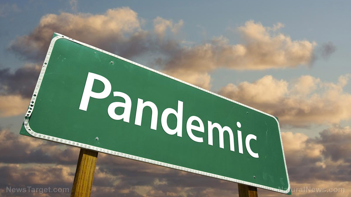 Image: COVID-19 pandemic was PLANNED as part of the Great Reset, warns Catholic priest Fr. Frank Unterhalt