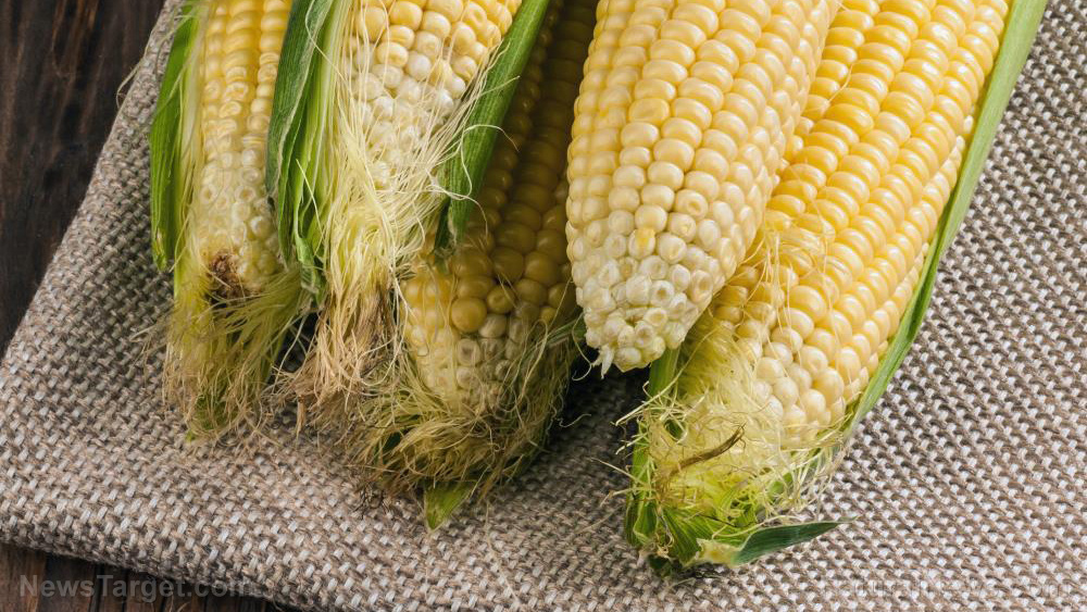 Image: The incredible health benefits of corn silk