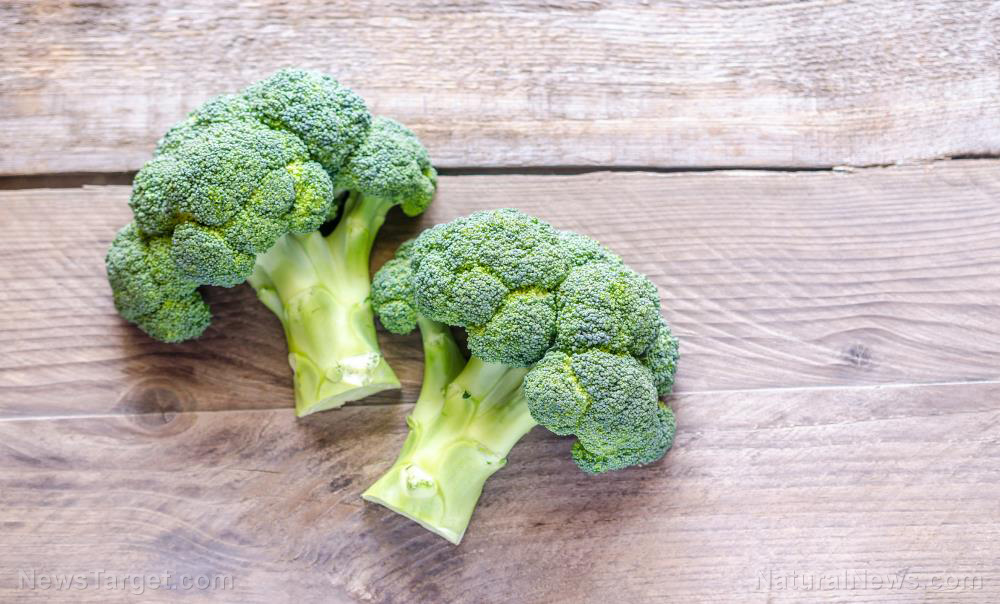 Image: Compound in broccoli may help repair brain damage