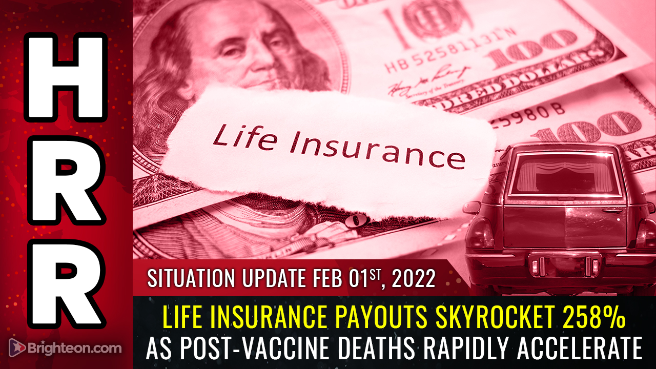 Image: THE DIE-OFF IS HERE: Life insurance payouts skyrocket 258% as post-vaccine deaths rapidly accelerate