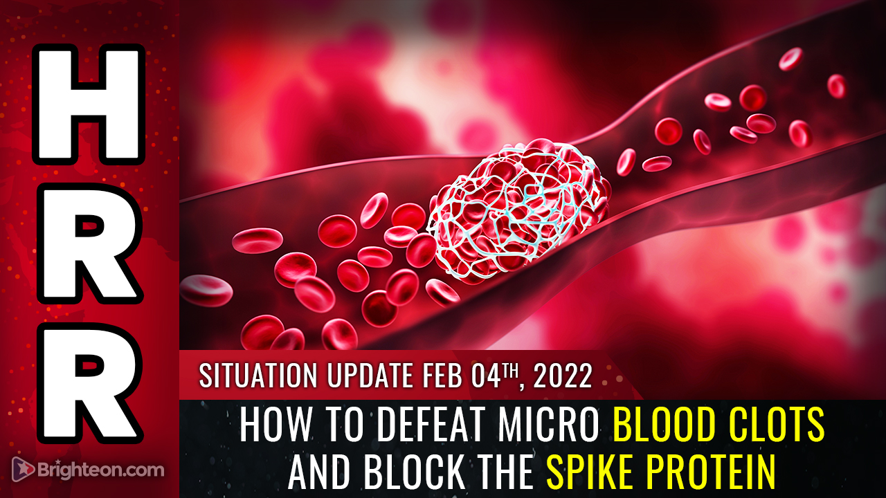 Image: How to DEFEAT micro blood clots and block the spike protein by protecting the QUALITY of your blood