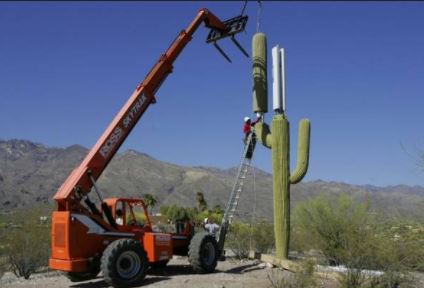 Image: Attack of the 5G “palm trees” and radiation-emitting fake cactus towers