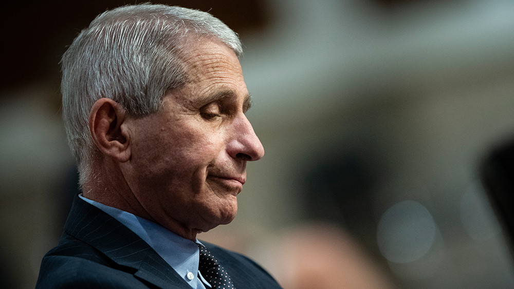 Image: COVID rules failed: Fauci blames those who refused to obey him