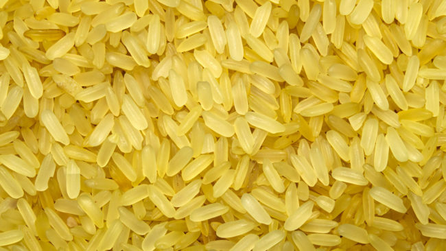 Image: GMO crops aren’t doing what they claim: Gold Rice project fails on its promises to fight Third World hunger