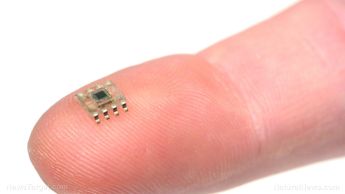 Image: Internet of Bodies: Implantable microchips could put all your information in one place and make you ‘hackable’