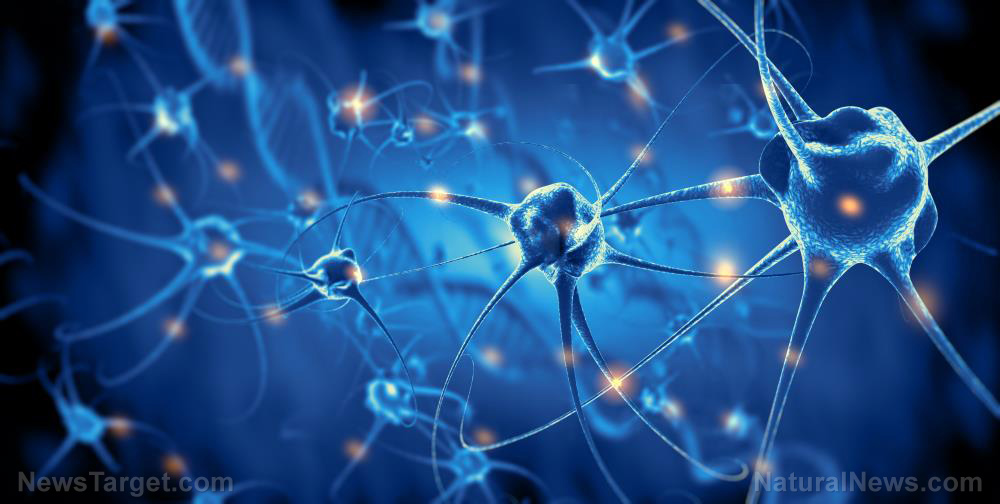 Image: The Dr. Hotze Report: Biotech company out to control people’s minds through neuromodulation – Brighteon.TV