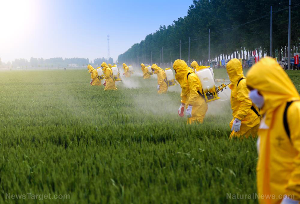 Image: Syngenta’s Monsanto moment