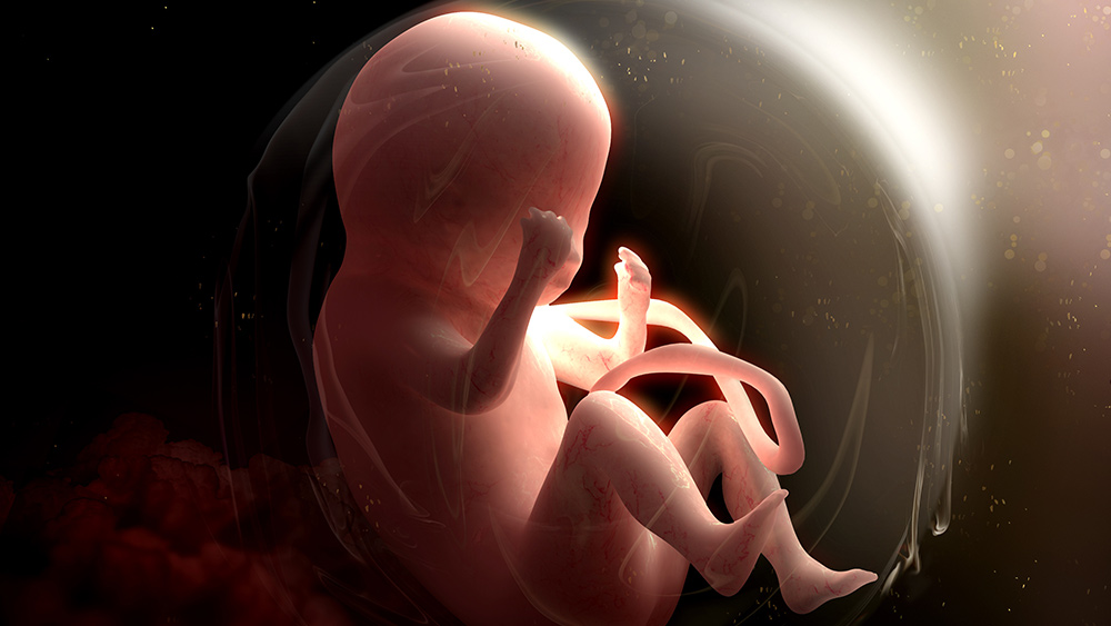 Image: Colorado governor signs bill stating unborn human babies have no rights