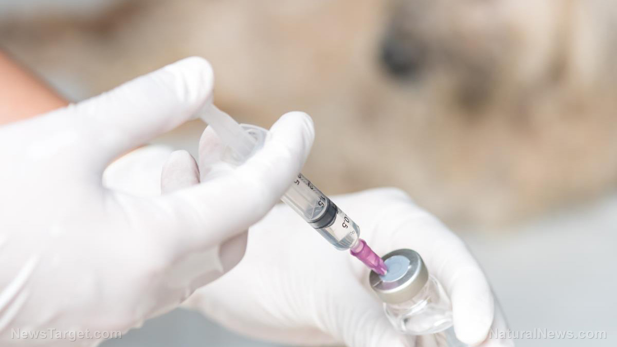 Image: ZOOTARDS ON PARADE: Toronto Zoo absurdly claims its animals are VOLUNTARILY getting injected with the COVID vaccine