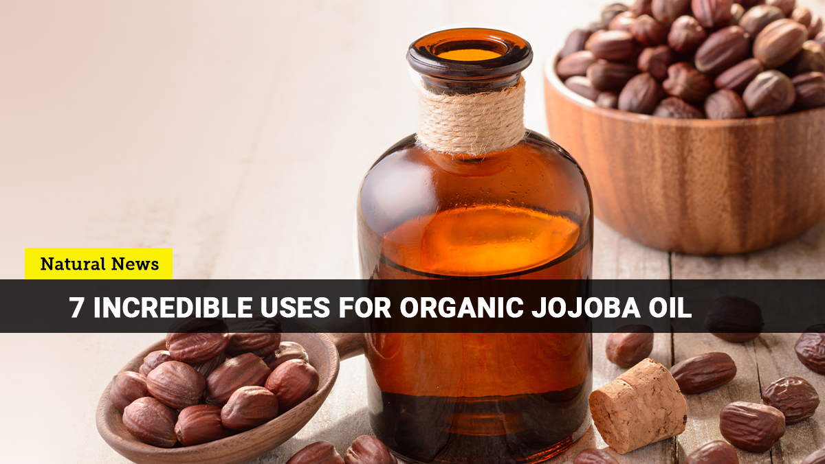Image: Organic Jojoba oil is so versatile that it can serve as your all-around skin and hair solution