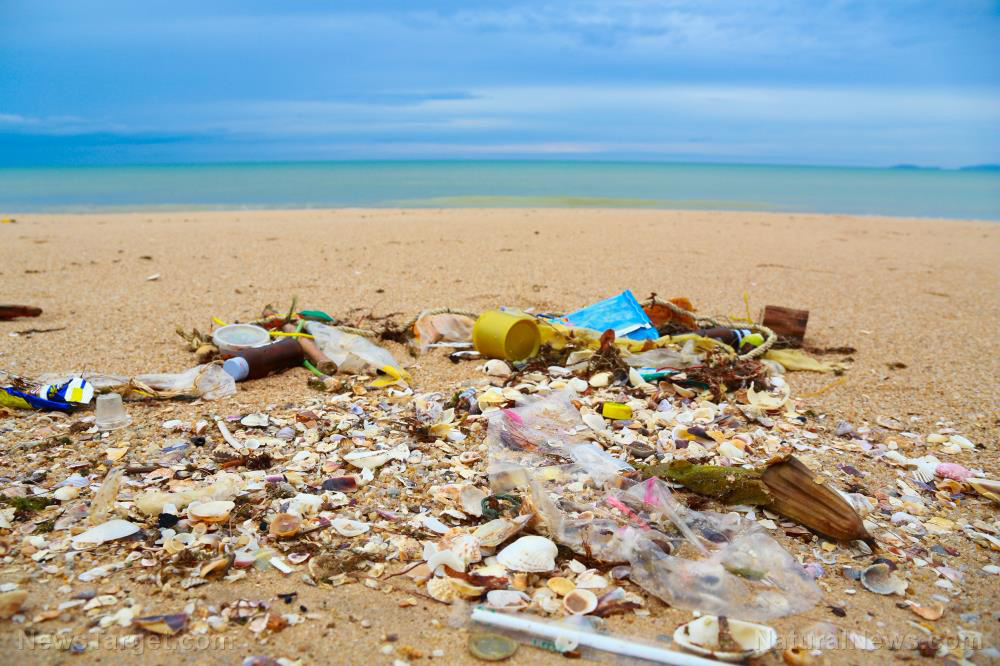 Image: Scientists have found ANOTHER major problem with the plastic pollution in the oceans: It harbors bacteria that can be transferred up the food chain