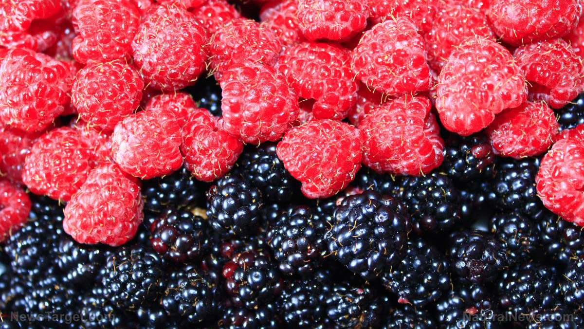 Image: Black raspberries found to improve heart health in patients with metabolic syndrome
