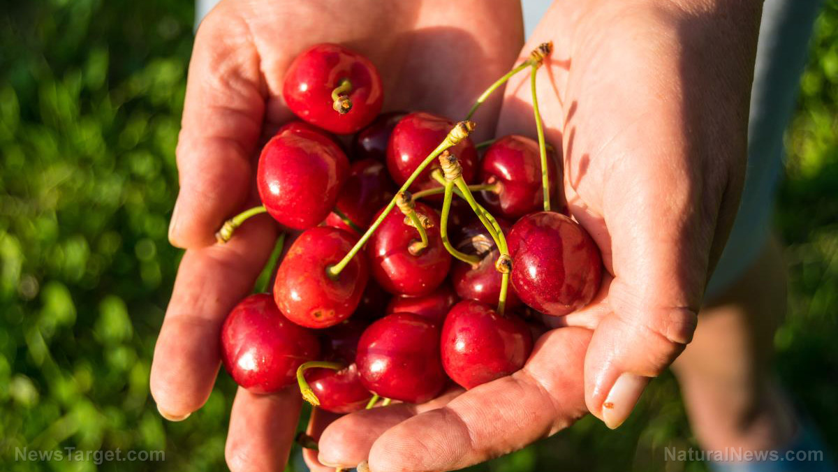Image: How often do you eat cherries? 7 Reasons to eat more