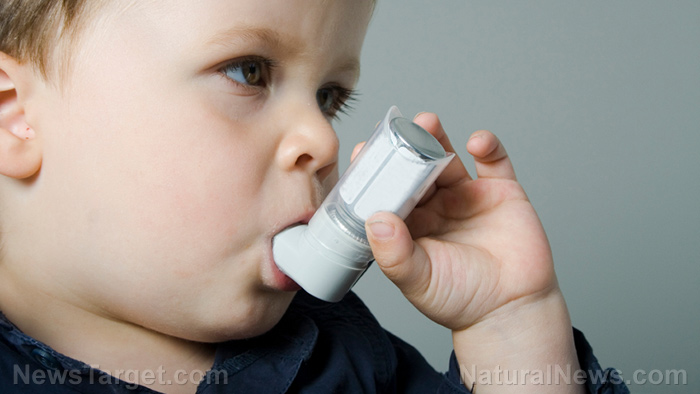 Image: New research suggests BPA exposure leads to poor lung function in children