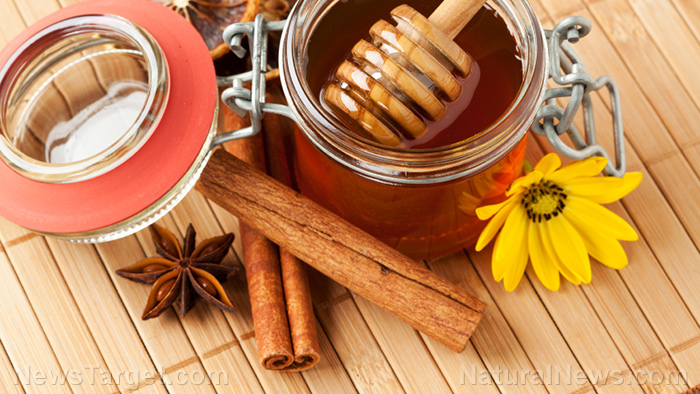 Image: Medicinal benefits of cinnamon