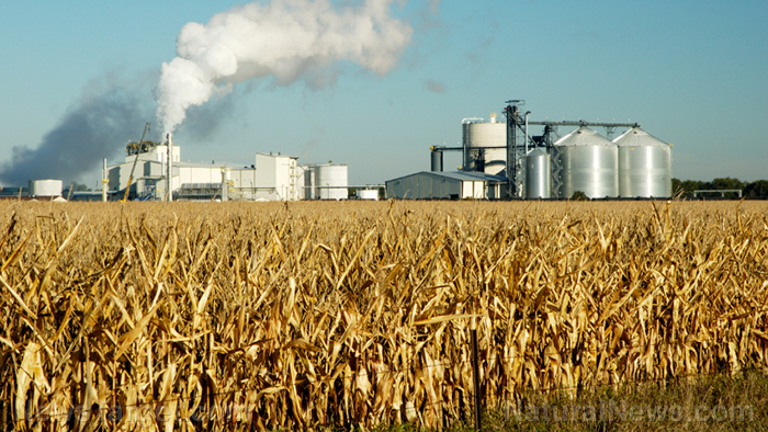 Image: New study finds corn-based ethanol fuel is actually WORSE FOR THE ENVIRONMENT than regular gasoline