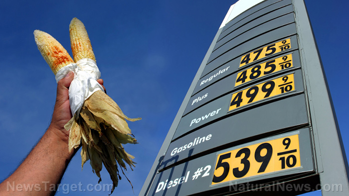 Image: Biden’s corn ethanol action questionable: Corn prices are now higher, food shortages continue