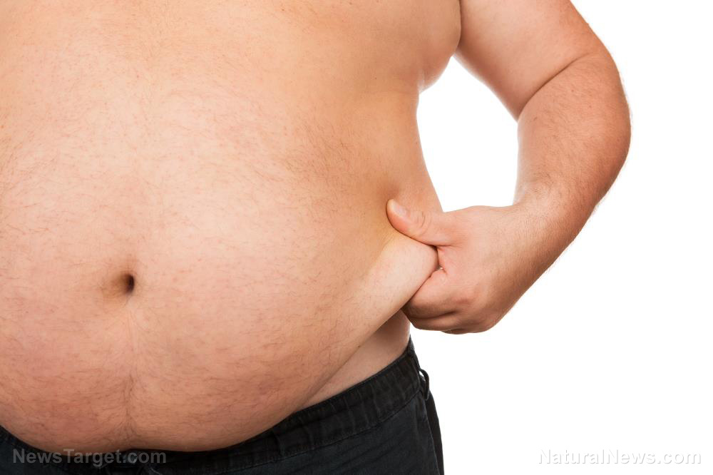 Image: Yet another reason to lose belly fat: Carrying it around increases your risk of dementia