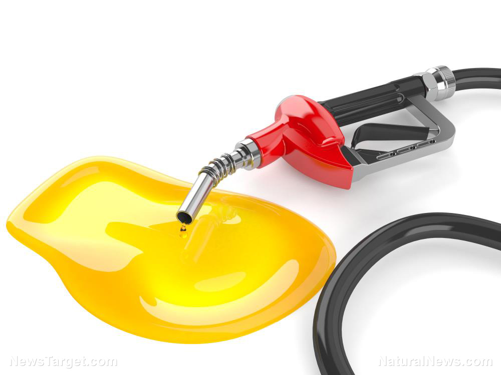 Image: Maryland and Georgia suspend gas taxes, other states to follow in effort to hide Biden’s inflation