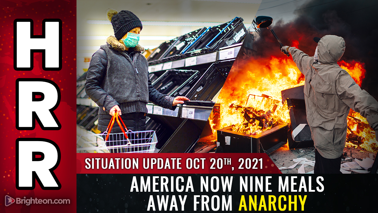 Image: RED ALERT as America now just nine meals away from ANARCHY… massive civil unrest PROVOKED on purpose