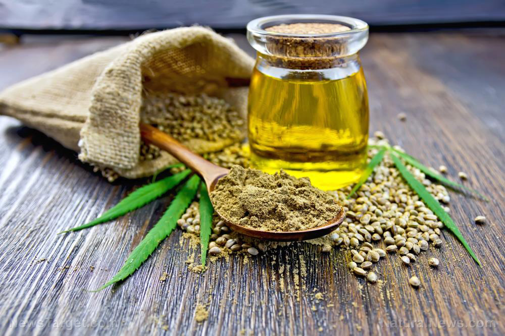 Image: Hemp seed oil: A healthy and sustainable source of omega fatty acids