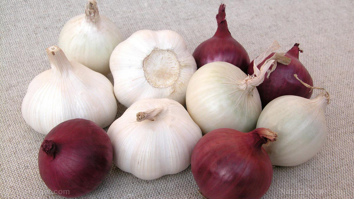 Image: Garlic, white onion, and purple onion found to possess antihypertensive, antidiabetic properties