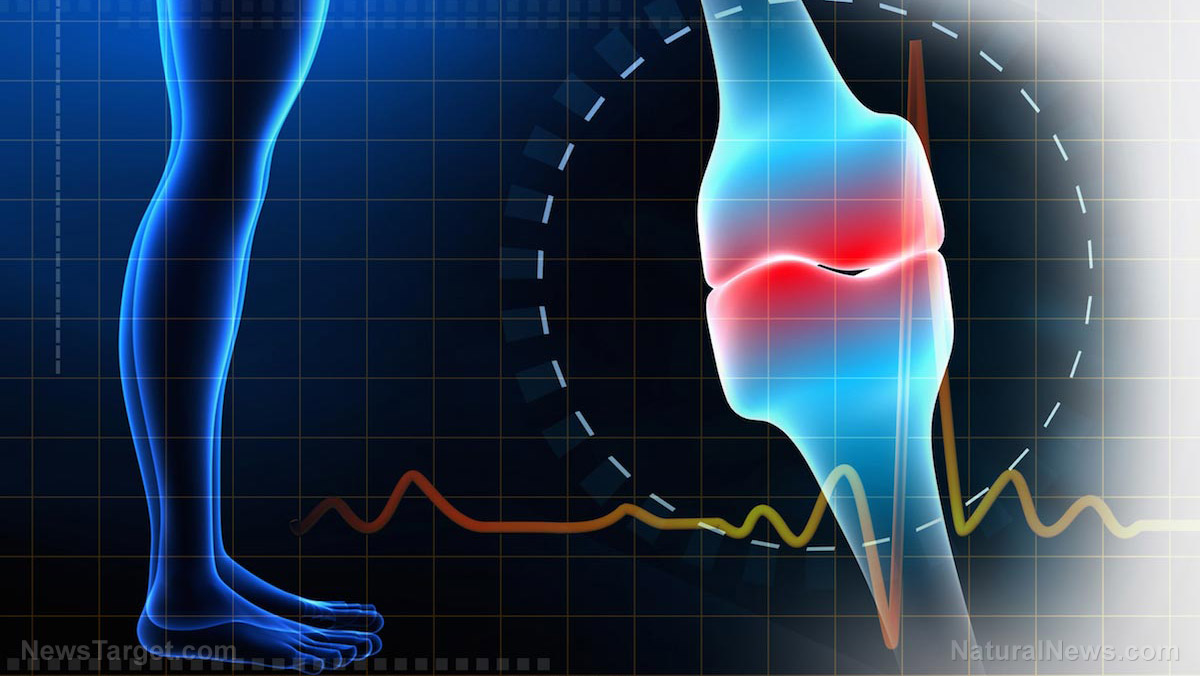 Image: Why are women at greater risk for broken bones? Understanding osteoporosis risk factors