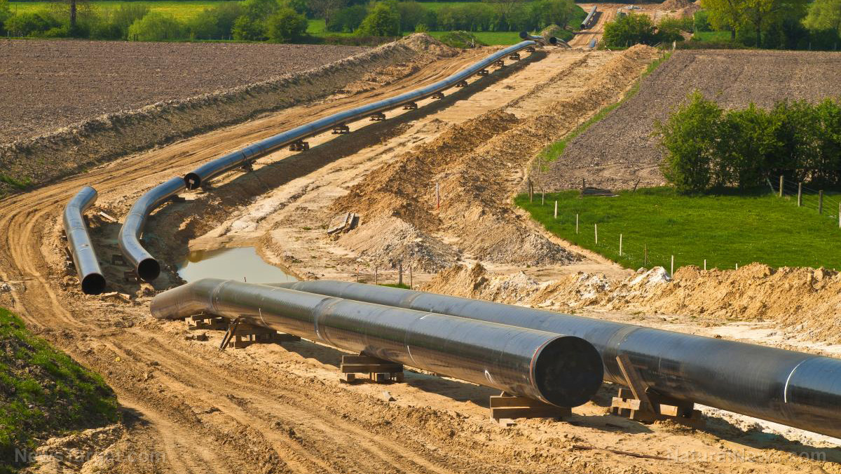 Image: Trump admin grants foreign company eminent domain approval to seize private American land for natural gas pipeline