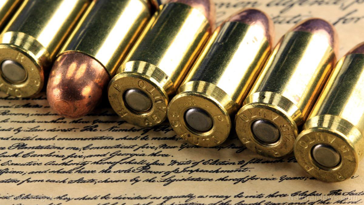 Image: Flashpoint ahead! The ‘gun control master plan’ & push for the ‘final execution of the US Constitution & Bill of Rights in one fell swoop’ are on display for all to see in Virginia