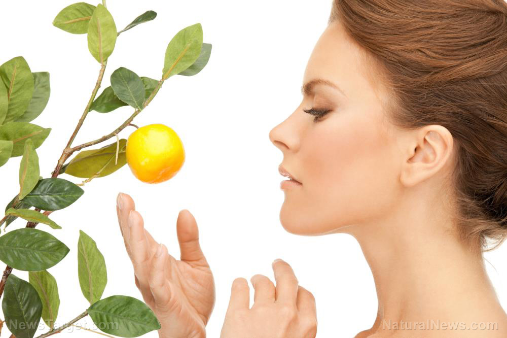 Image: Your skincare routine could use myrcene: Studies reveal its anti-photoaging properties
