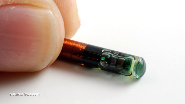 Image: Remember when implantable tracking microchips were just a conspiracy theory? Thanks to covid, they’re now a reality