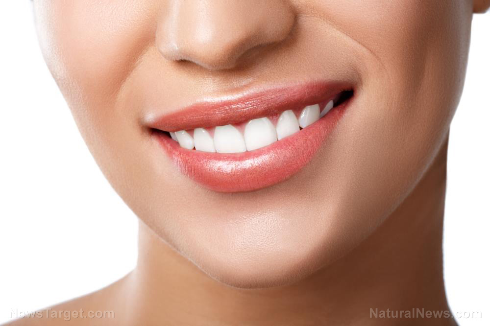 Image: Antioxidants and probiotics for better oral health: Natural remedies for gingivitis