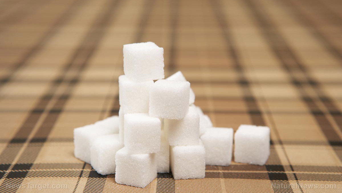 Image: How does sugar weaken the immune system? Experts explain