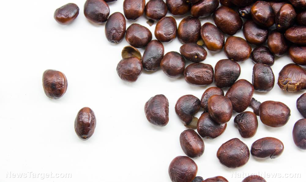 Image: Looking to improve your blood sugar and cholesterol levels? Try taking tamarind seed