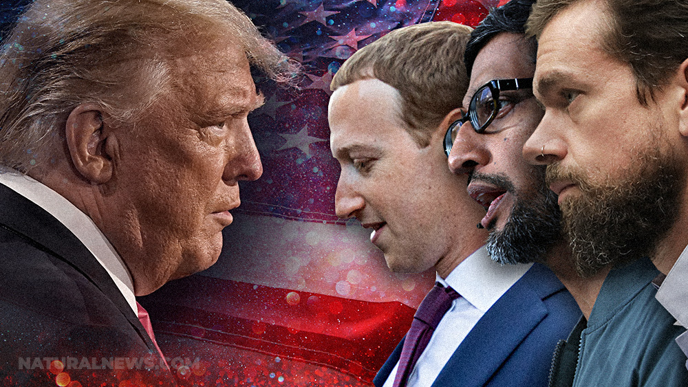 Image: Big Tech complicit in criminal COUP against America; Facebook blocks Trump for remainder of his first term