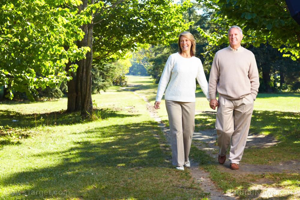 Image: Fitness promotes longevity: Study finds a brisk walk every day after age 70 determines health more than CVD risk