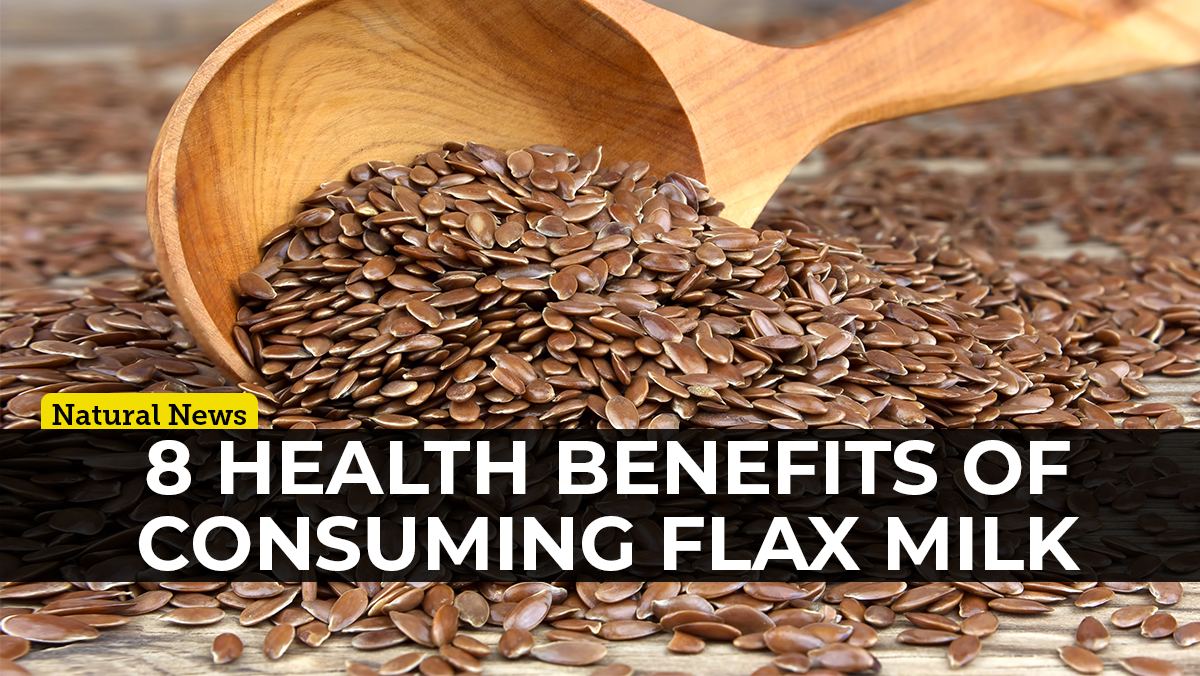 Image: Flax milk is the underrated non-dairy milk alternative you should be adding to your diet