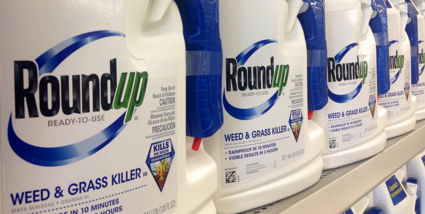 Image: California Supreme Court finds in favor of Roundup weed killer cancer victims