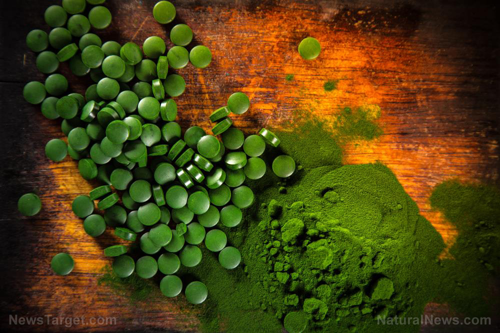 Image: Chlorella and fibromyalgia: Study confirms relief for your symptoms